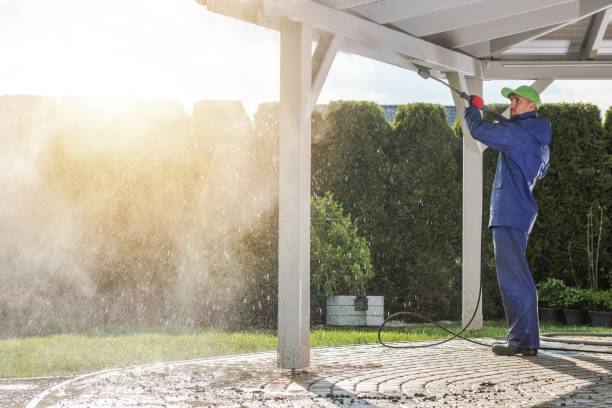 Animal Enclosure Cleaning in Orange, CA